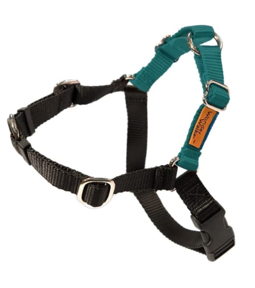 Golden Retriever Harnesses The Best Harnesses For Your Golden