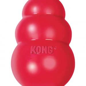 kong classic dog toy