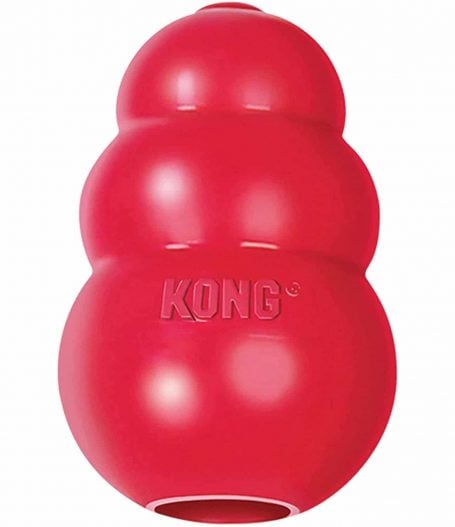 kong classic dog toy