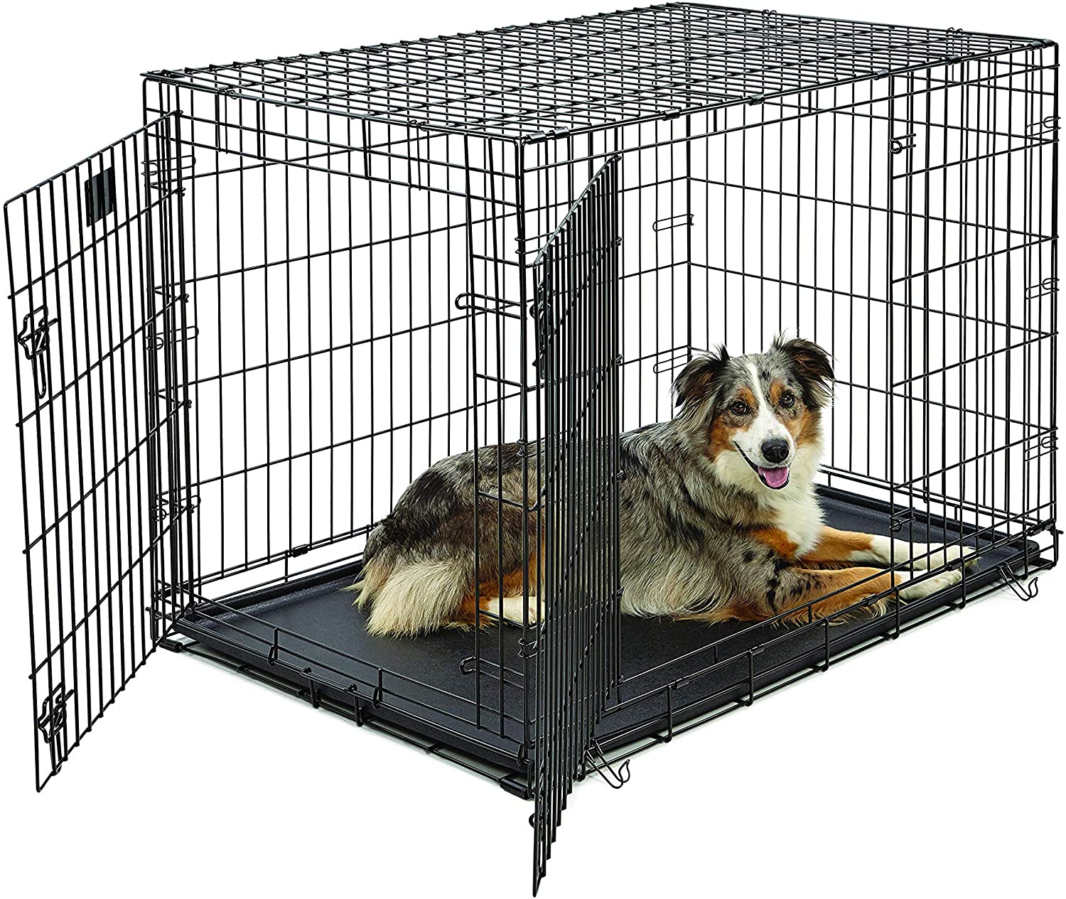 Metal MidWest Collapsible Kennel