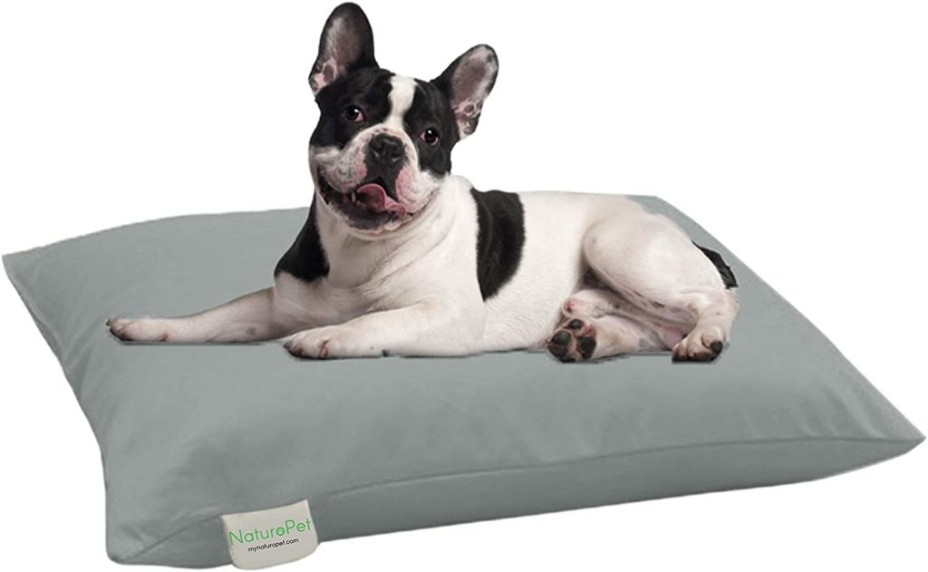 Organic Dog Beds The Best Natural and Organic Beds for Dogs