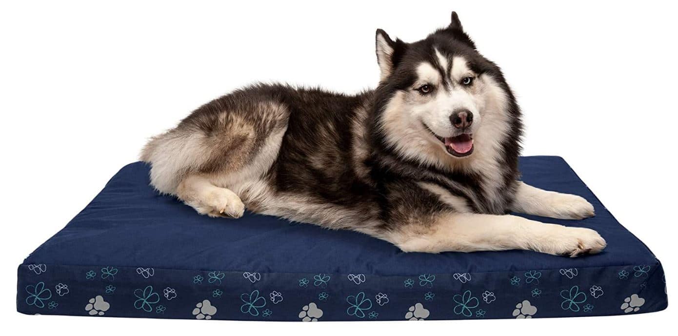 The Best Dog Beds on Amazon -- Furhaven