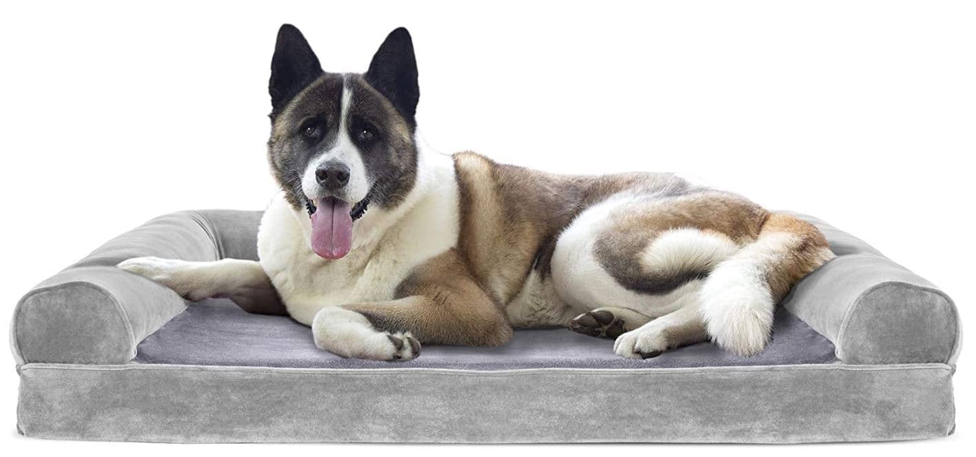 Dog Sofa Beds for Dogs Who Love Sleeping On The Couch | Top 7 Picks