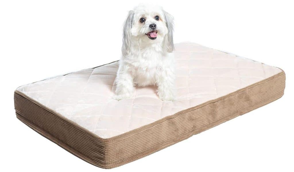 Searching for a French Bulldog Bed? Rover's Top 9 Frenchie Bed Picks