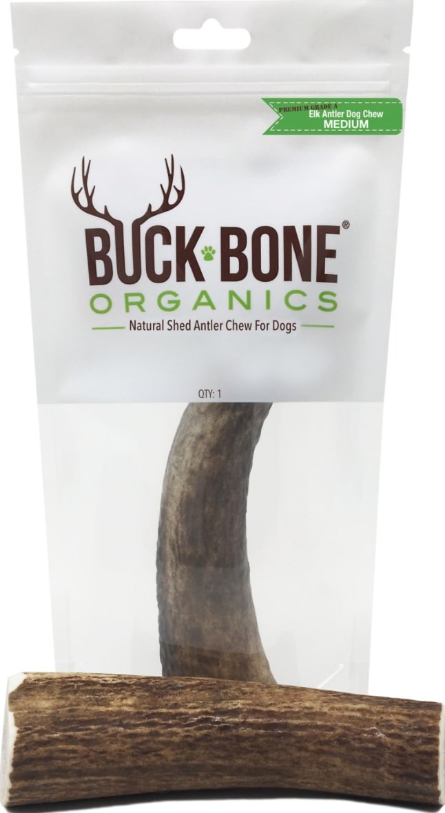 Antler Chew