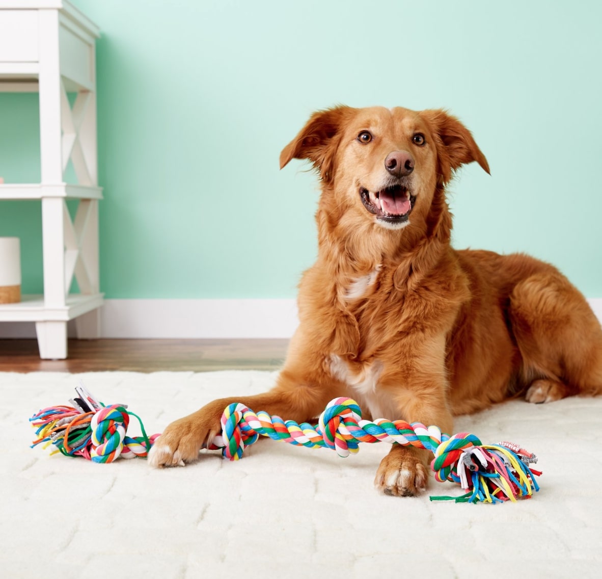 Mammoth Cloth Rope Tug