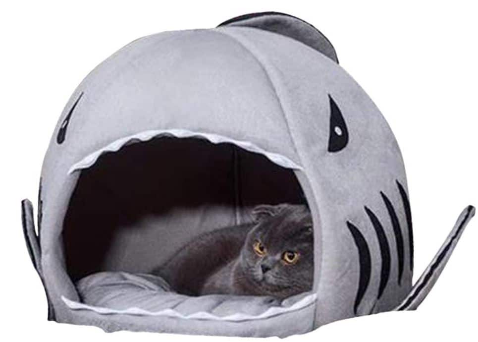 Shark Cave Cat Bed