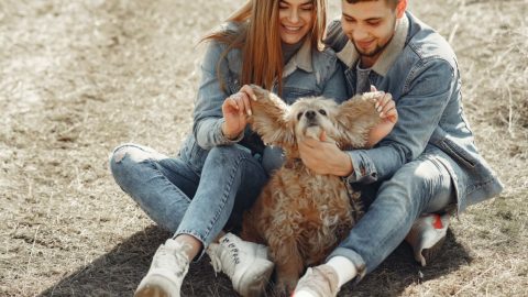 couple with dog on beach