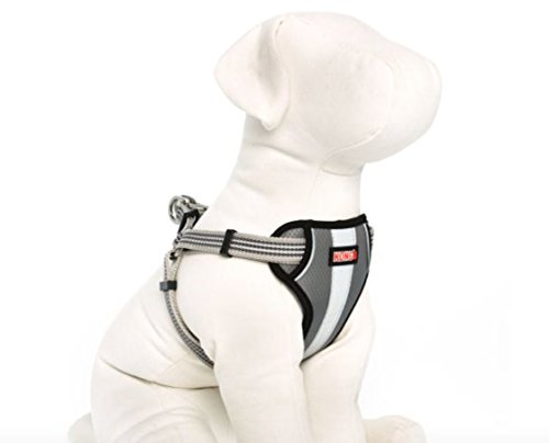 Best Kong Dog Harness Buying Guide