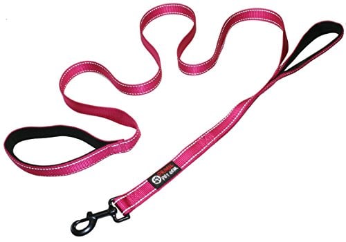 Bright pink Primal Pet Gear Dog Leash