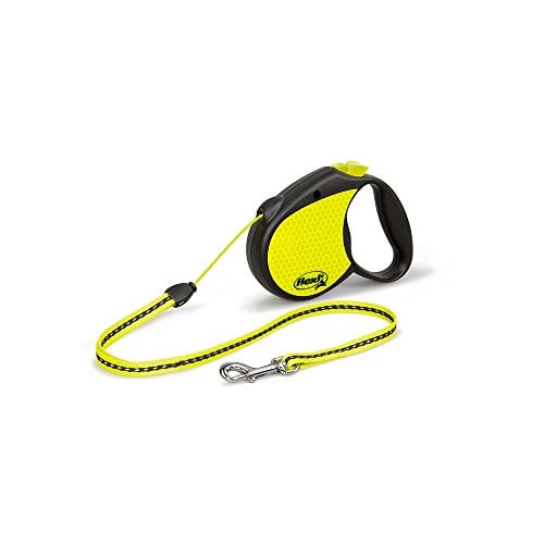 Bright yellow retractible leash for Chihuahuas