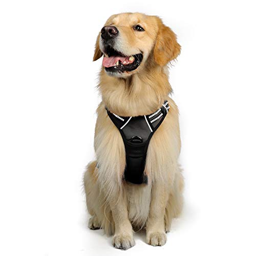 rabbitgoo dog harness sizing