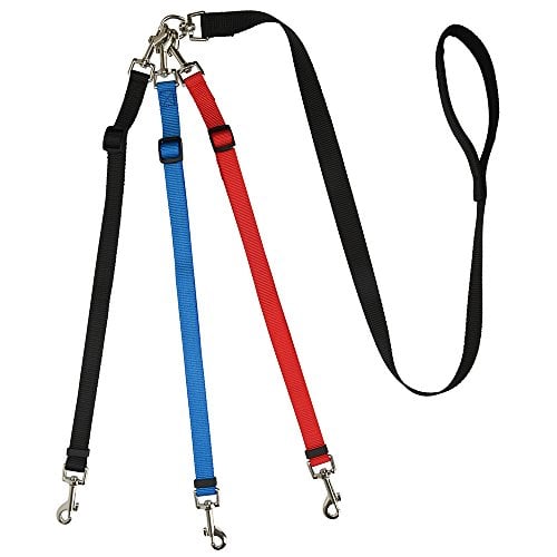Adjustable three-dog leash with red, blue, and black leads