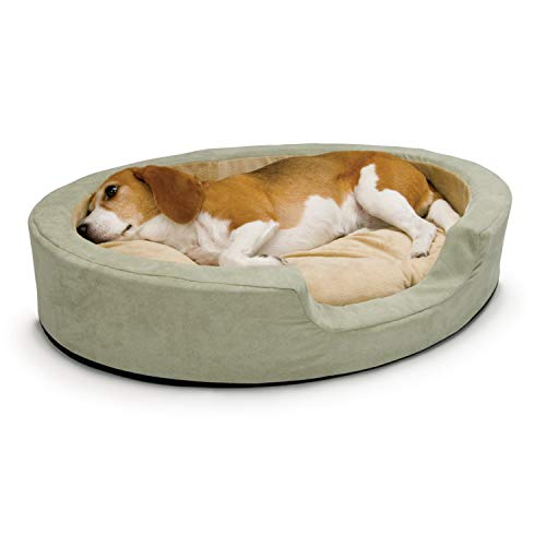 dog in heated round green bed