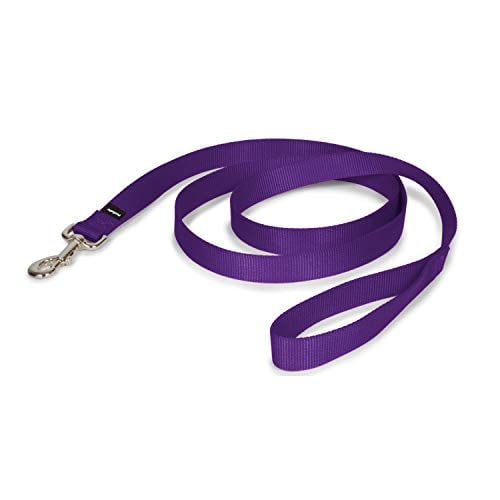 Lightweight purple nylon leash for Shih Tzus and small dogs