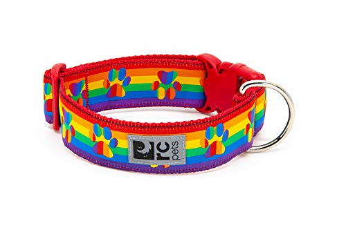 Native Pup Rainbow Flag Dog Collar 
