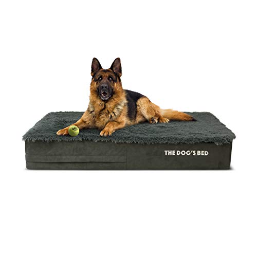 What Is The Best Dog Bed For A Pitbull