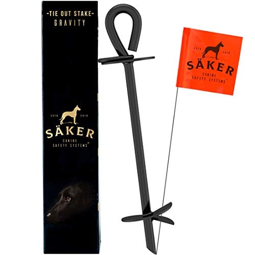 Dog Yard Leash The Best Leashes for Dogs in Yards