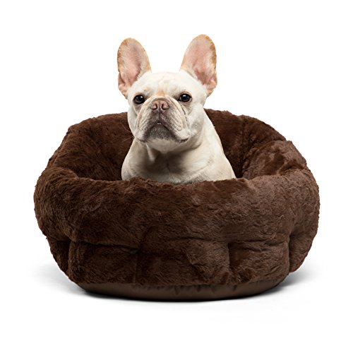 What S The Best Bed For A Bulldog at Homer Hall blog