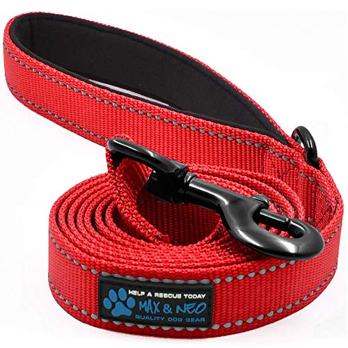 Max and Neo reflective leash for small dogs like Shih Tzus