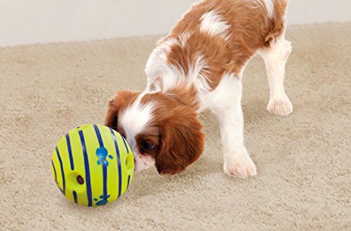 small dog nudging bright green and blue striped Wobble Wag Giggle Ball with nose on a carpet