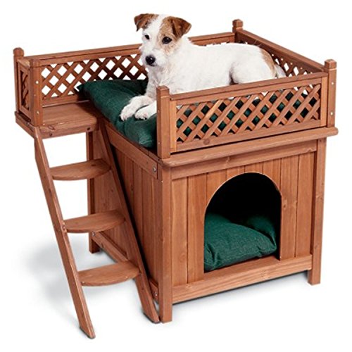 timber dog bed