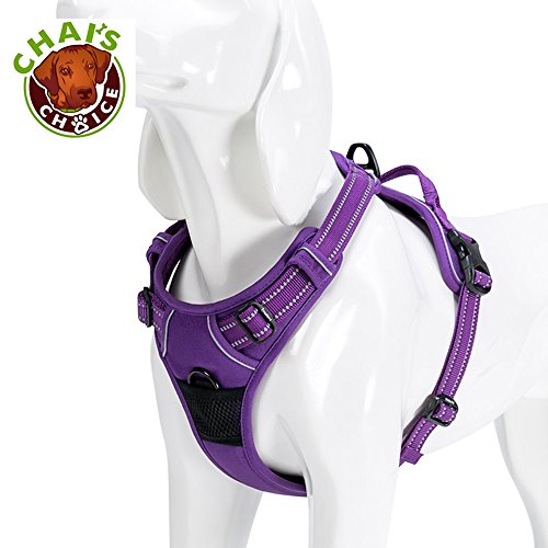great dane harness amazon