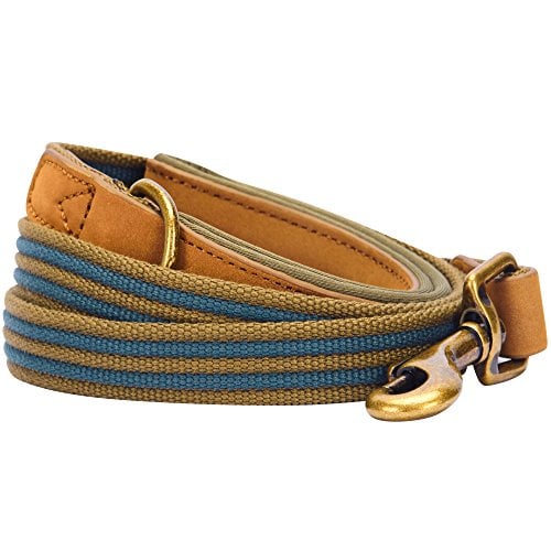 A classy leather and polyester Blueberry leash, good for Golden Retrievers