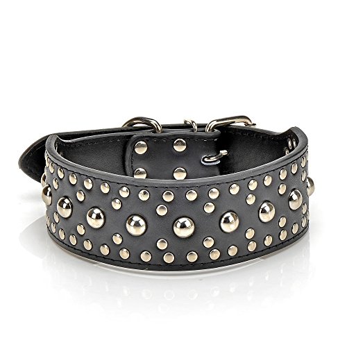 Leather Dog Collars 17 Leather Collars to Suit Every Dog Style