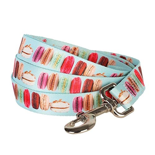 Macaron-patterned durable dog leash by Blueberry