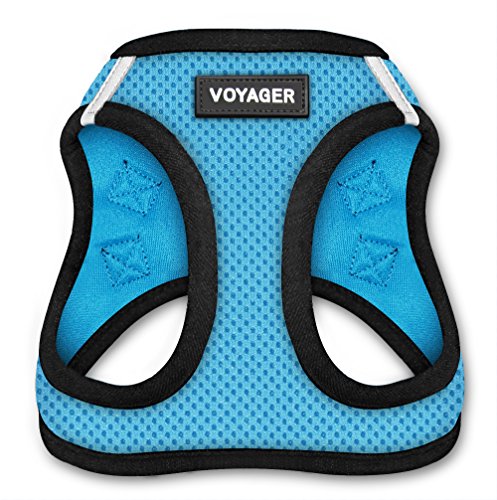 Blue Voyager mesh harness