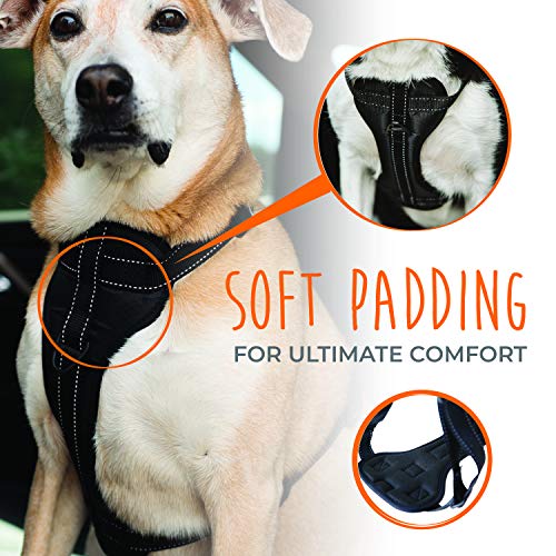 Dog in vehicle safety harness with soft padding