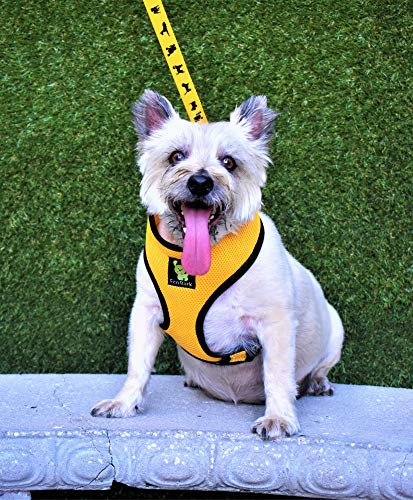 dog wearing yellow vest harness