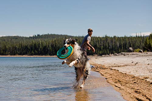 dog in water by beach jumping with teal Ruffwear disc in mouth