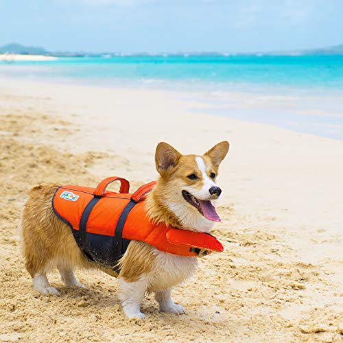 Dog Life Jackets Our 9 Favorite Dog Life Jackets
