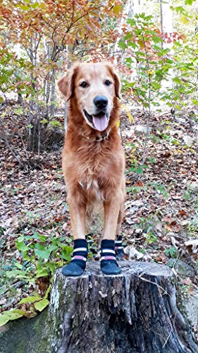 amazon prime dog booties