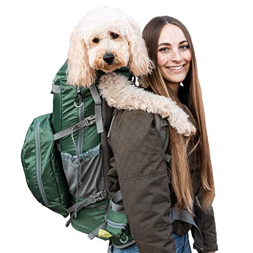 woman carrying dog on her back in green K9 Sport Sack Rover 2 dog carrier backpack
