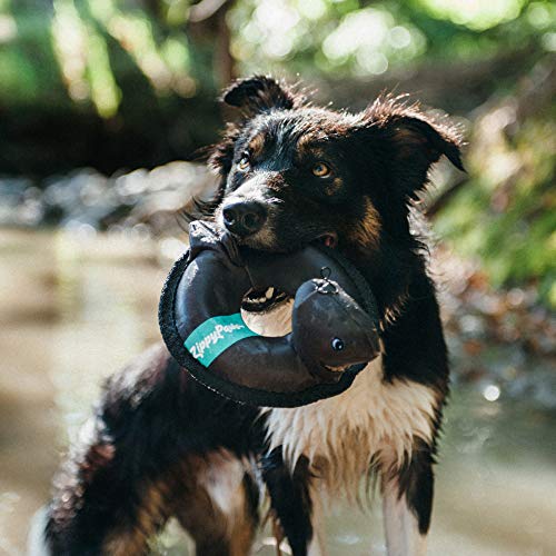 dog in creek with ZippyPaws Floaterz Floating Squeaker Dog Toy shark version in its mouth