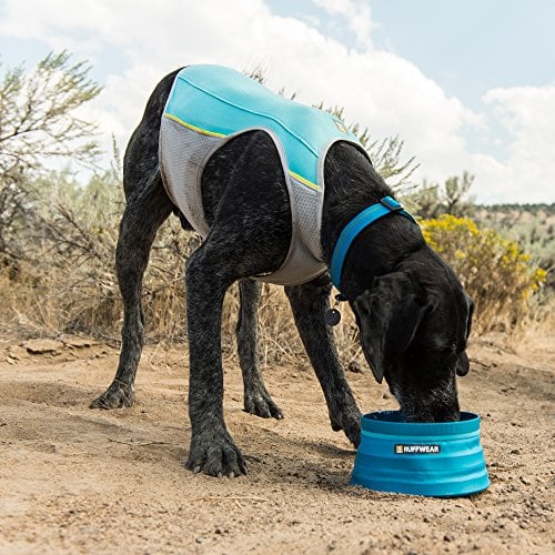 dog drinking from water bowl in Ruffwear cooling vest 