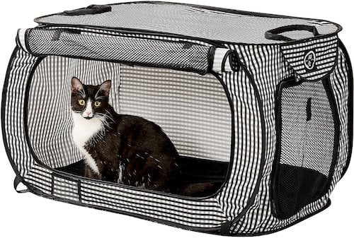Cat in black and white mesh playpen