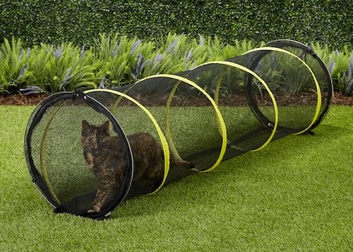 Zip-up mesh play tunnel for kittens