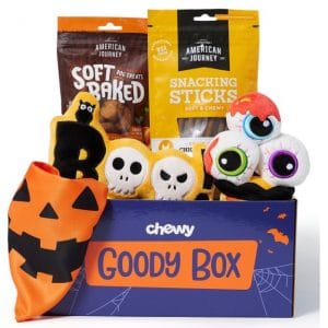 Chewy Goody Box Dog Halloween Treats and Toys