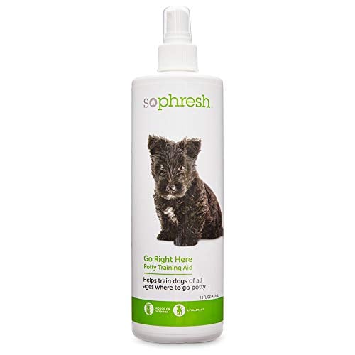 Spray bottle with potty training aid SoPhresh