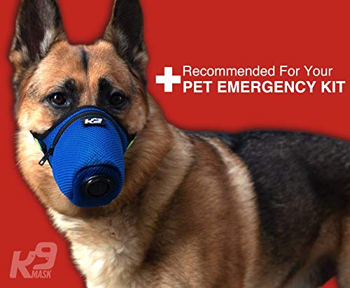 German Shepherd in K9 mask