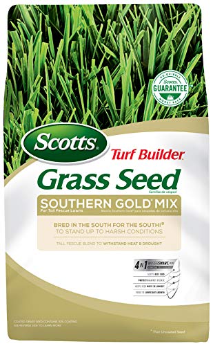 Bag of Fescue Grass Seed