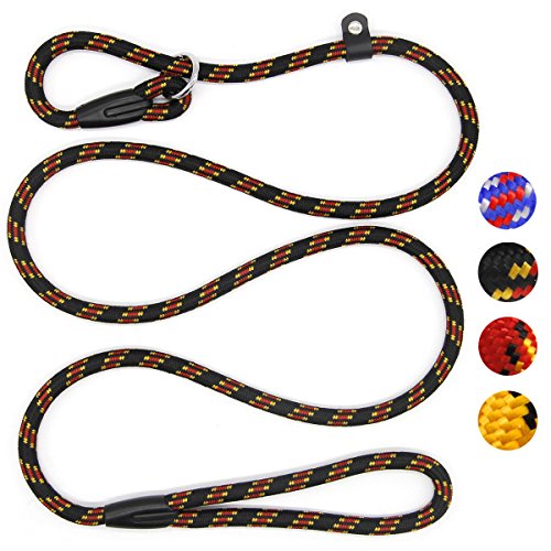 Slip lead dog leash made of rope with a variety of colorful options