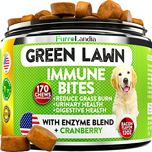Jar of Green Lawn Immune Bites for reducing dog lawn spots