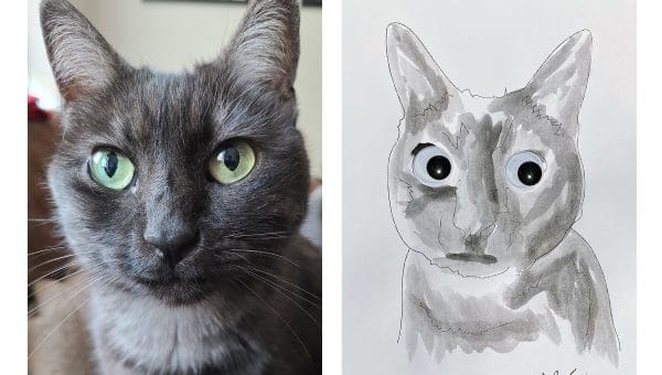 Before and after cat portrait.