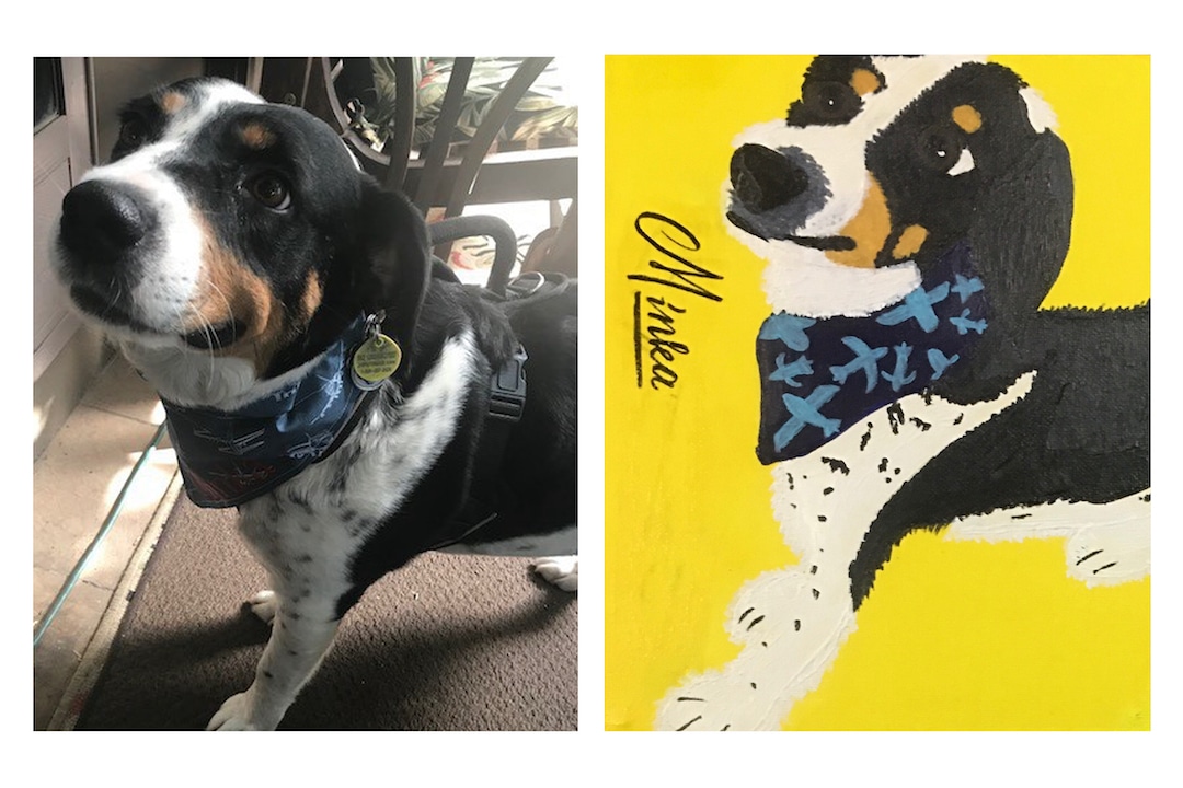 Pet portrait before and after