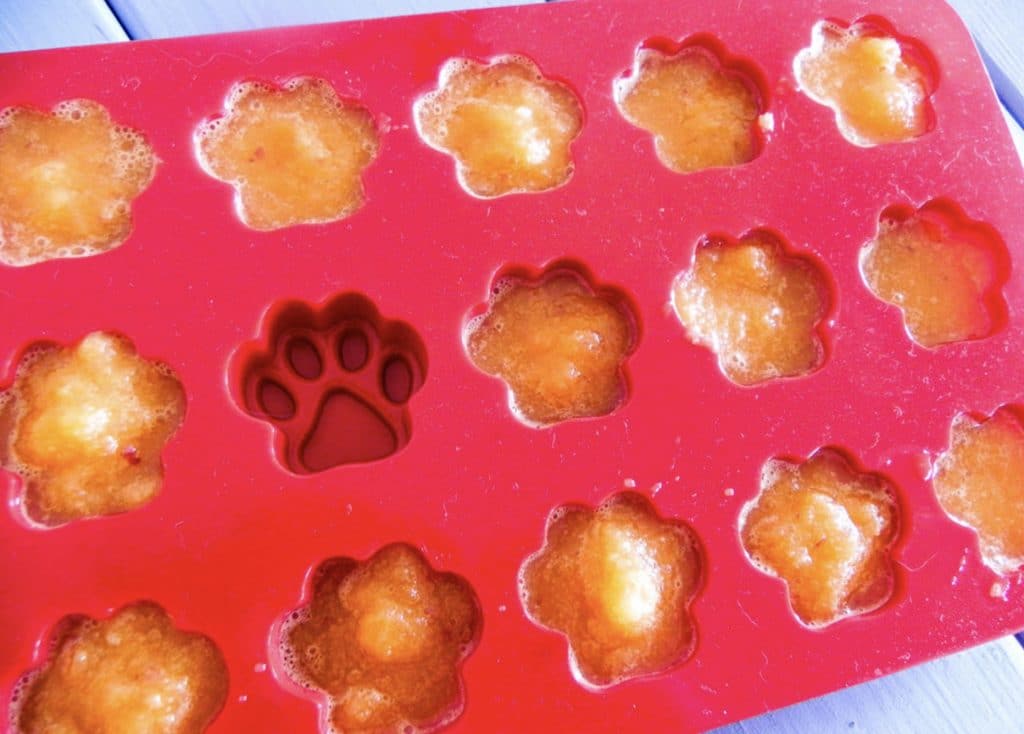 apple carrot frozen treats in paw-shaped molds